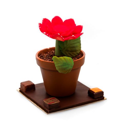 Flowerpot Cake Topper